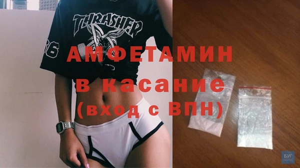 трава Осинники