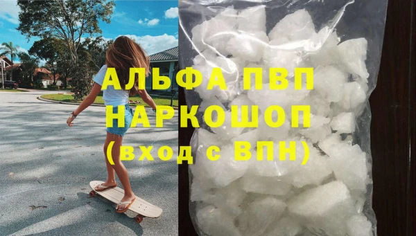 трава Осинники