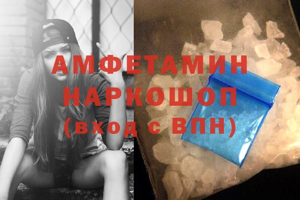 трава Осинники
