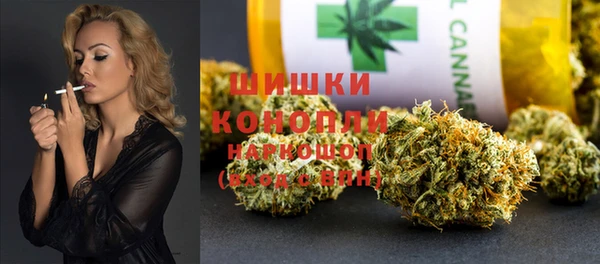 трава Осинники