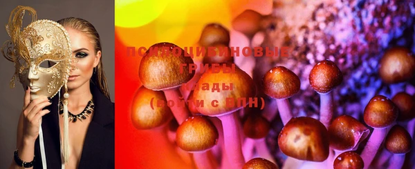 трава Осинники