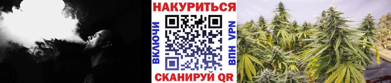 Каннабис MAZAR  купить наркоту  Серафимович 